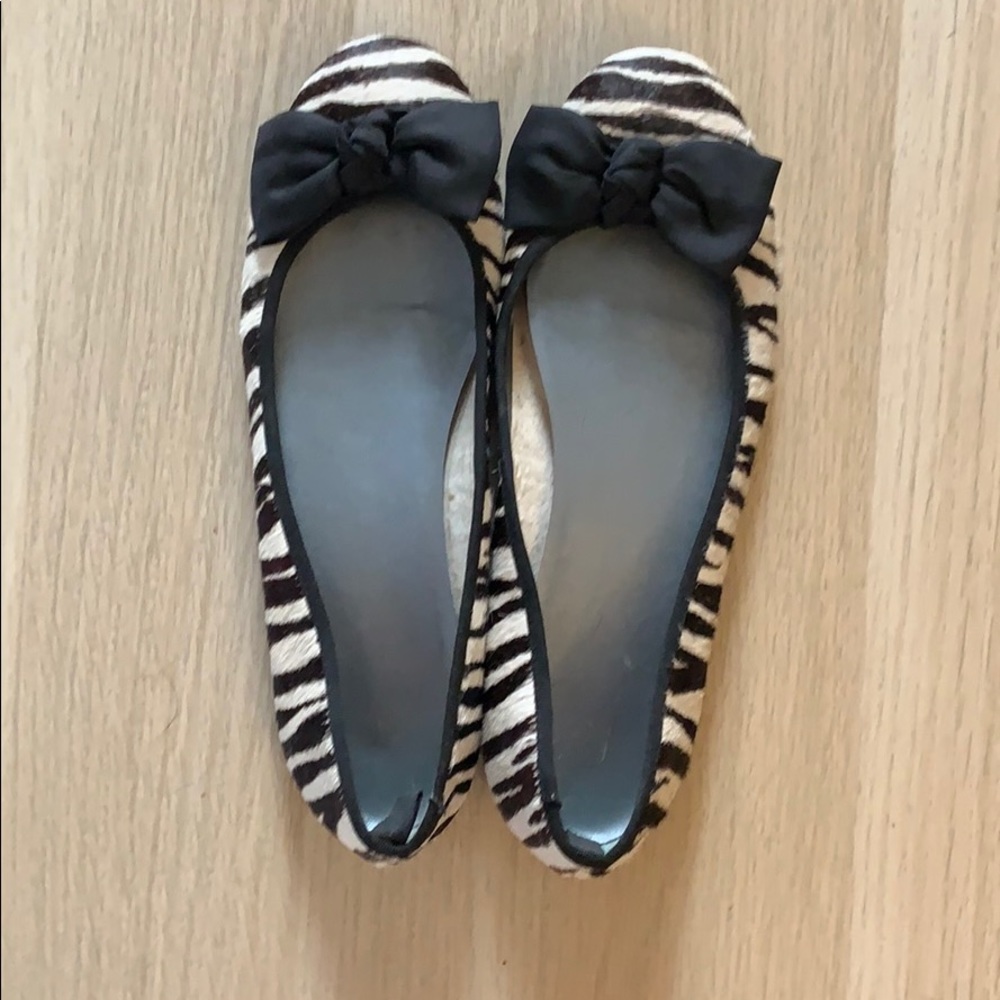 Zebra flats